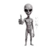 852655146