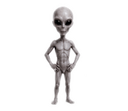 852655153