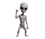 852655155