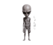 852655156