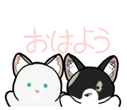 852655897