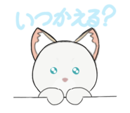 852655915