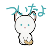 852655919