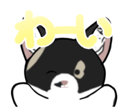 852655922