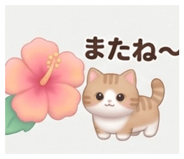 852655950