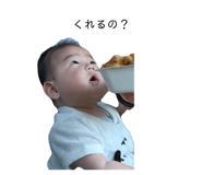 852656116