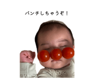 852656133