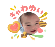 852658394