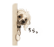 852659601