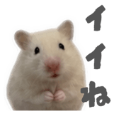 852659785