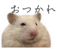 852659787