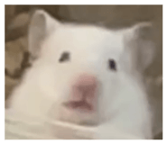 852659804
