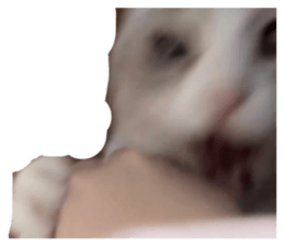 852659969