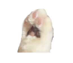 852659971