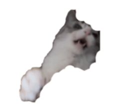 852659975