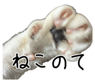852661679
