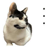 852661680