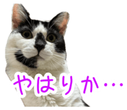 852661682