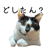 852661684