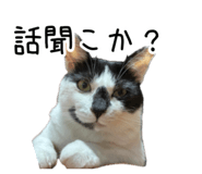 852661685
