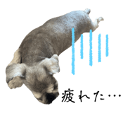 852663010