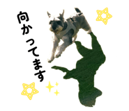 852663015