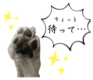 852663023