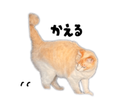 852664069
