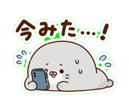 852665018