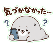 852665023