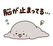 852665024