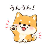 852665681