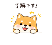 852665683