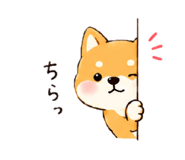 852665692