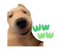 852665703
