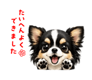 852665807