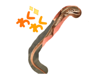 852665825