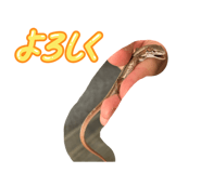852665830