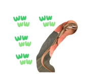 852665832