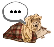 852665877