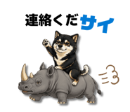 852665884