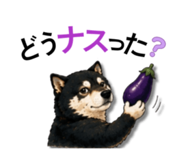 852665886