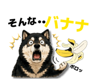 852665888