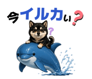 852665892