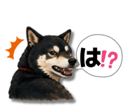 852665895