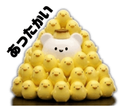852665940