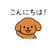 852666081
