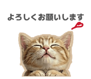 852666194