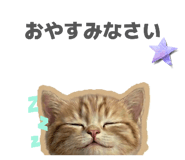852666200