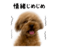 852666488